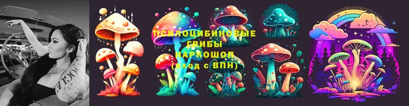 закладка  даркнет какой сайт  Галлюциногенные грибы Psilocybine cubensis  Валуйки 